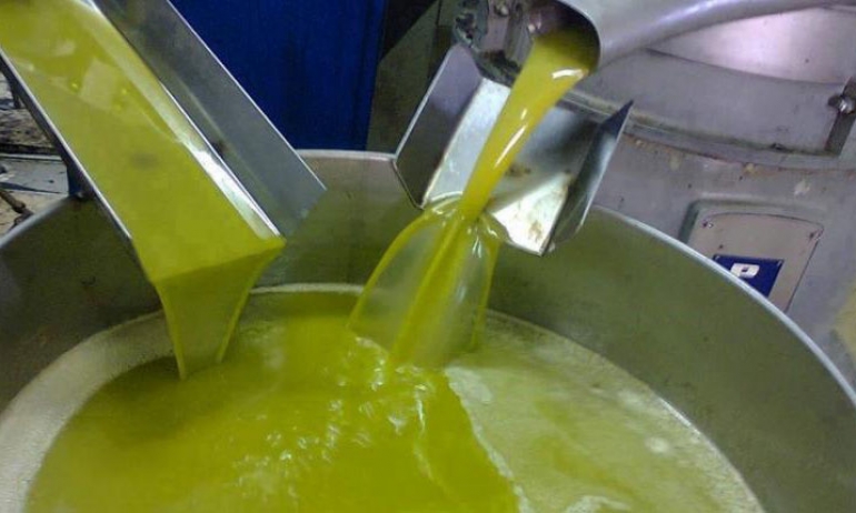 وزارة الفلاحة اتخذت إجراءات وقائية..   14  دينارا سعر لتر زيت الزيتون.. ومخاوف من المضاربين